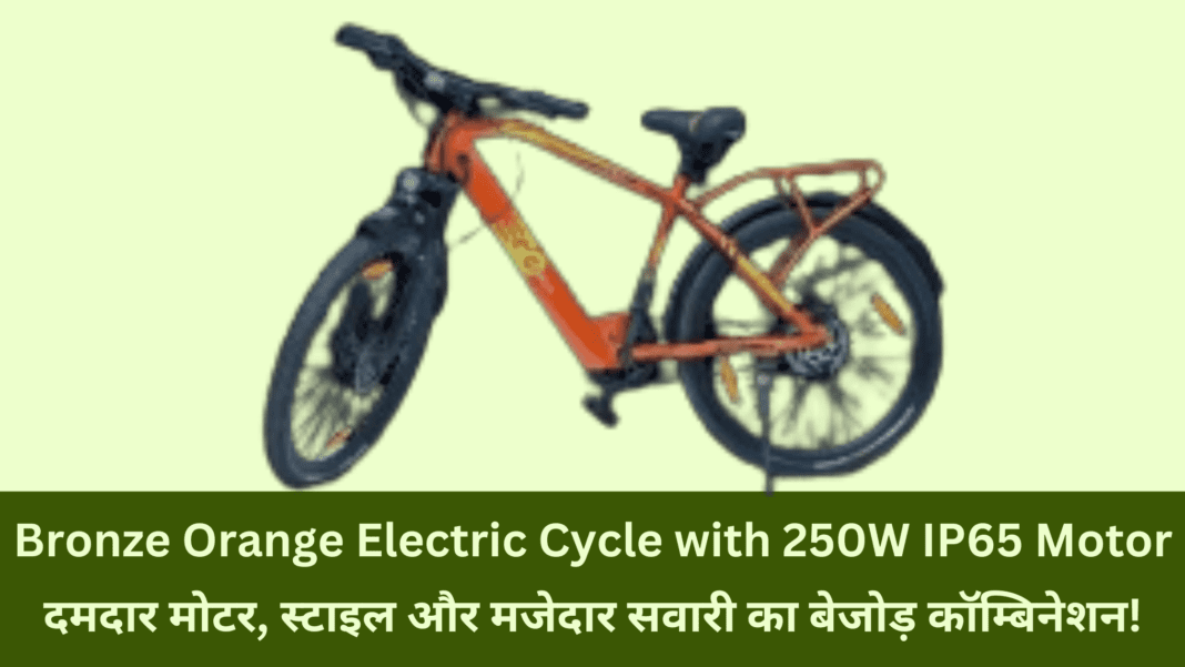 Bronze Orange Electric Cycle with 250W IP65 Motor